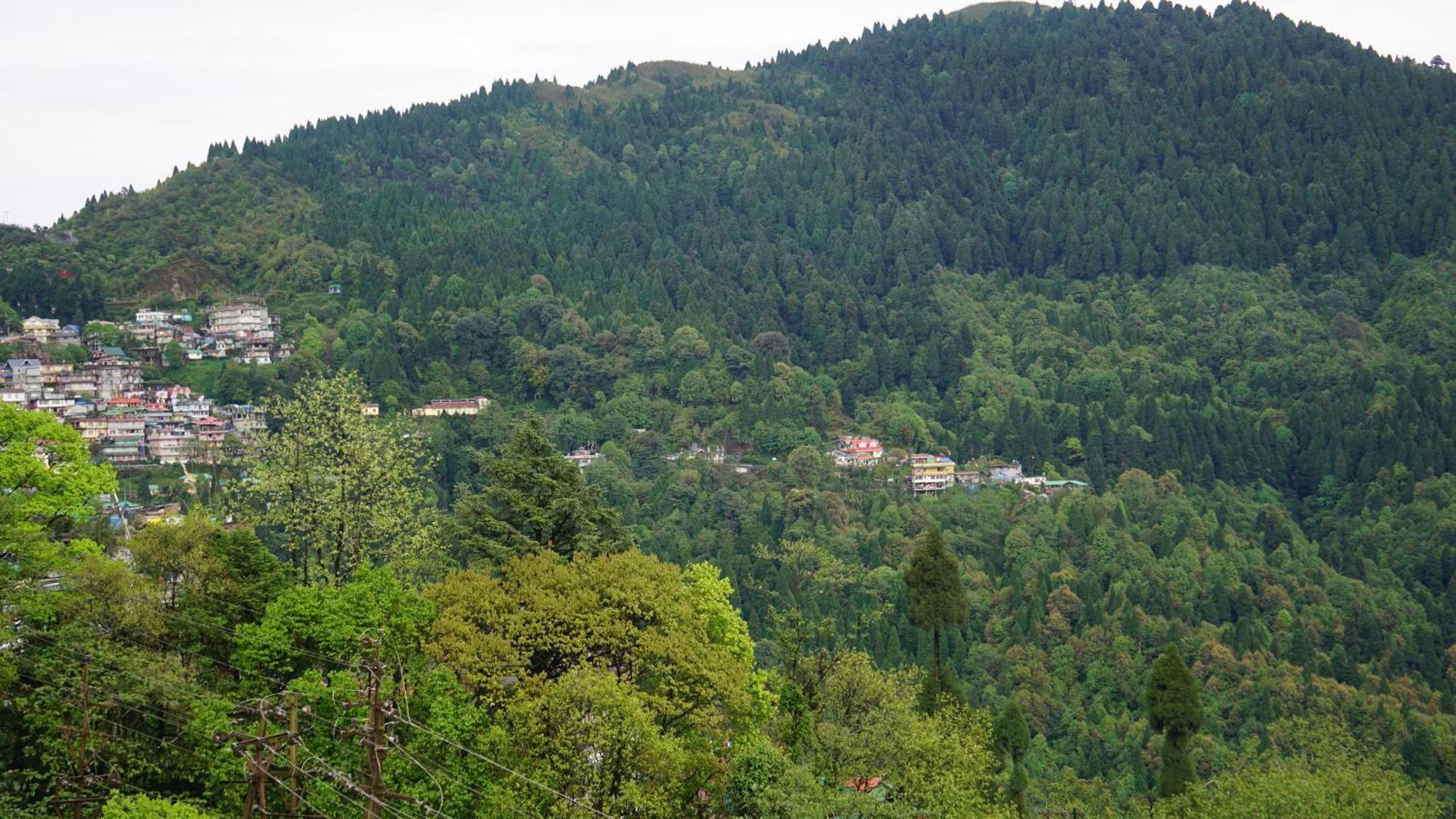Tranquil Retreat Homestay Ghum Extérieur photo