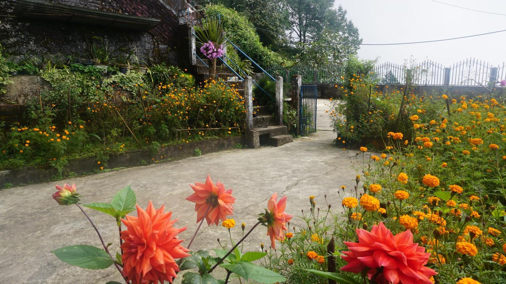 Tranquil Retreat Homestay Ghum Extérieur photo