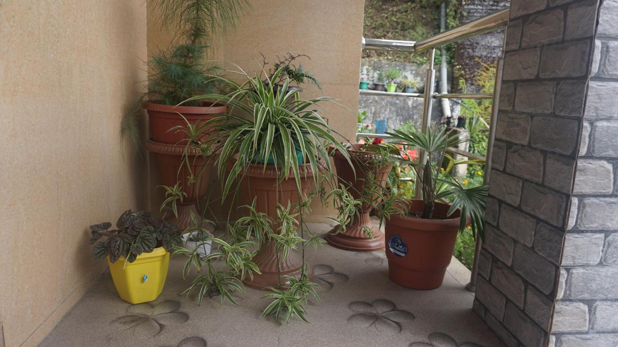 Tranquil Retreat Homestay Ghum Extérieur photo