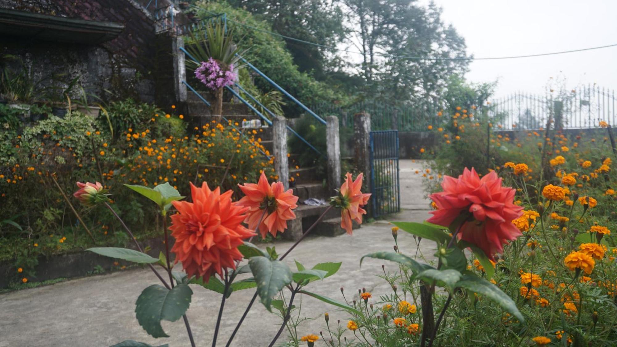 Tranquil Retreat Homestay Ghum Extérieur photo